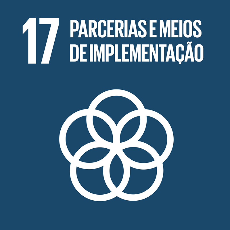 ODS 17 - Parcerias e Meios de Implementação